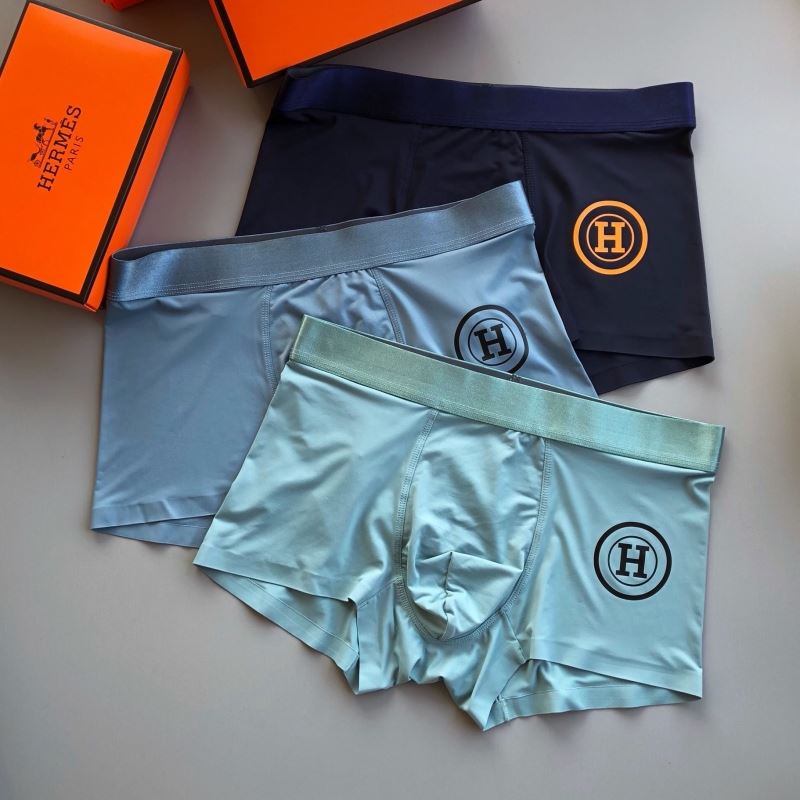 Hermes Panties